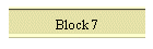 Block 7