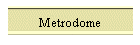 Metrodome