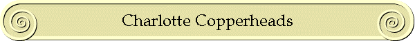 Charlotte Copperheads