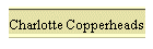 Charlotte Copperheads
