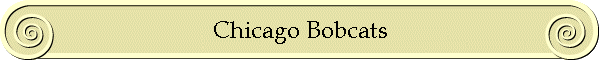 Chicago Bobcats