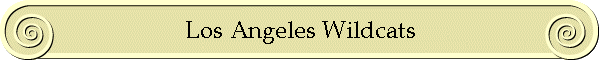 Los Angeles Wildcats