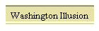 Washington Illusion